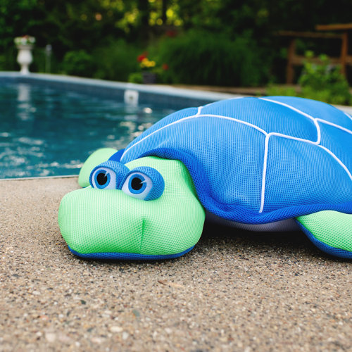 Comfort Research Big Joe Pool Petz Alligator Kid's Float (Noninflatable) & Reviews Wayfair